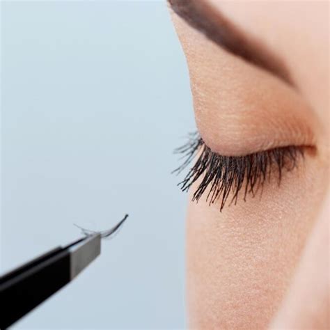 Glossnglass Lash Courses