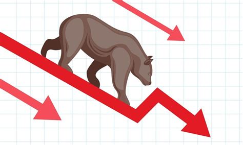 A Bear Market Hi U R Th Tr Ng Con G U Trong T I Ch Nh