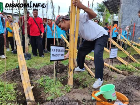 Potret Kebun Raya Bambu Pertama Di Indonesia Punya 103 Jenis Bambu