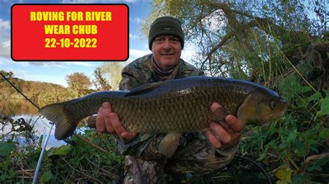 Roving For River Wear Chub Youtube