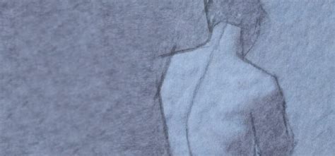 learn  draw    trace vitruvian fine art studio