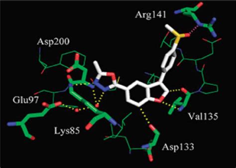 X ray co crystal structure of compound 13 and GSK 3β PDB Id 3GB2