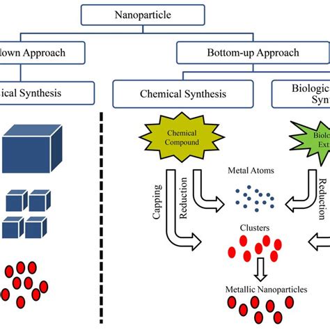 Synthesis of metallic nanoparticles by top-down and bottom-up approach. | Download Scientific ...