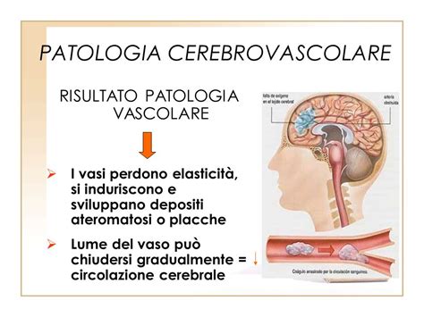 CORSO INTEGRATO DI INFERMIERISTICA RIABILITATIVA Ppt Scaricare