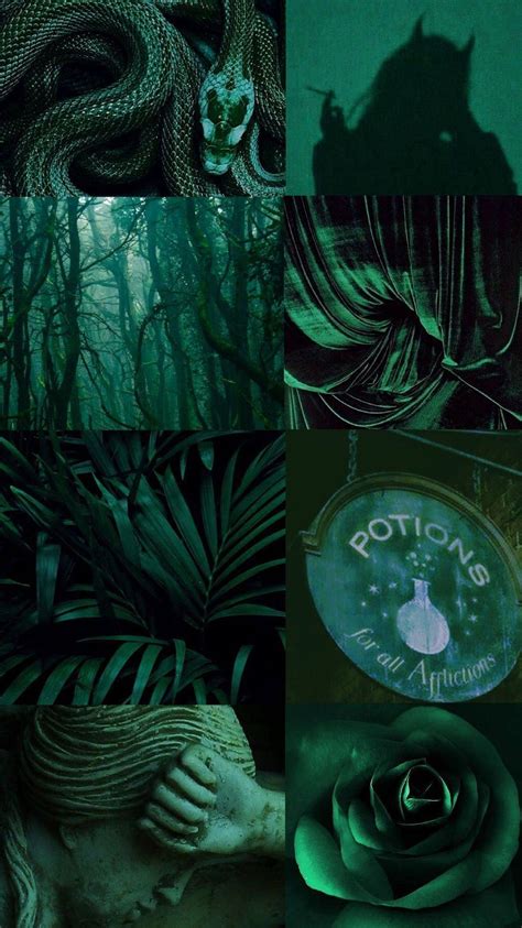 200 Dark Green Aesthetic Backgrounds
