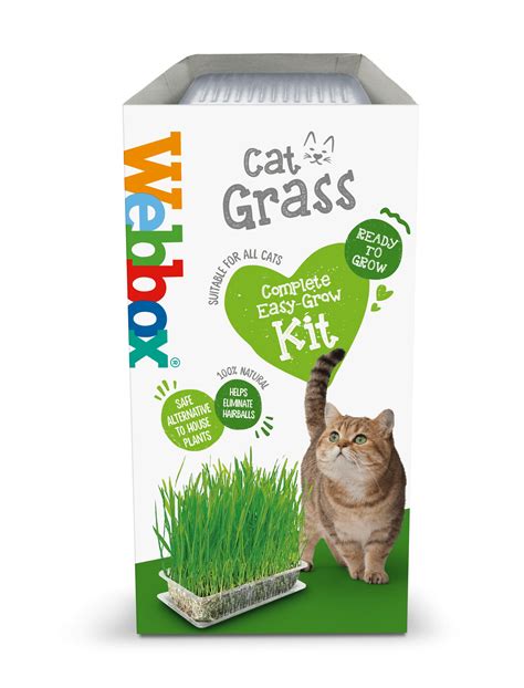 Cat Treats Cat Sticks And Meaty Biscuits June 23 Webbox