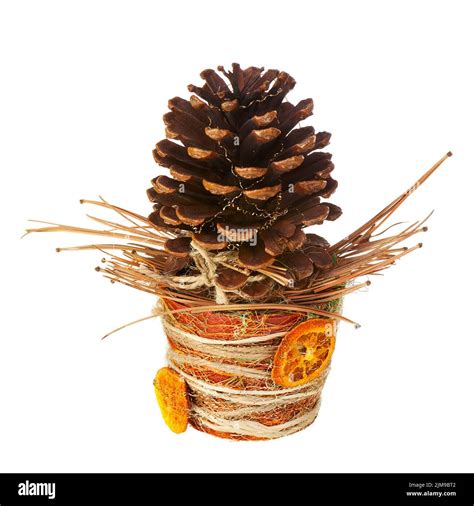 Composition From Pine Cone Needles And Christmas Decorations In Vase