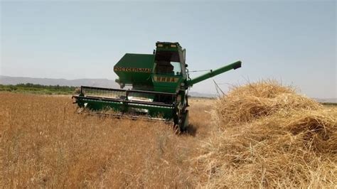 Harvesting Of Winter Wheat Underway In Kadamjai AKIpress News Agency