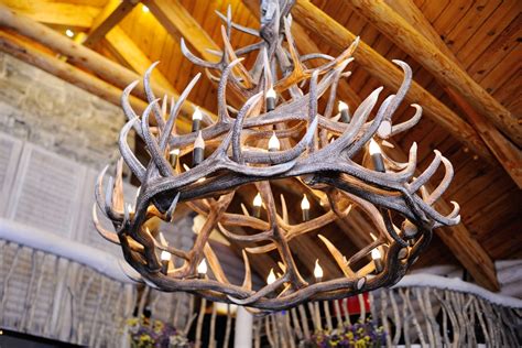 Stunning Deer Antler Decorating Ideas For Your Home