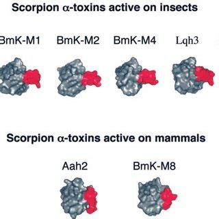 Comparison Of Scorpion Toxins A Sequence Alignment Of Scorpion Toxins