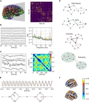 Frontiers Integrative Models Of Brain Structure And Dynamics