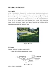 Swale Main Channel Minnesota Stormwater Manual