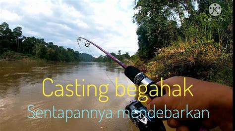 Casting Ikan Begahak Sambaran Yang Memang Di Tunggu Buat Abang Tak