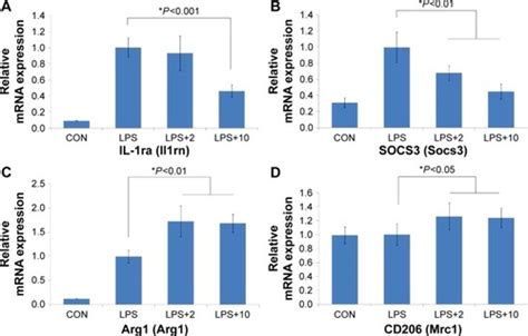 Full Article Papaverine Inhibits Lipopolysaccharide Induced Microglial