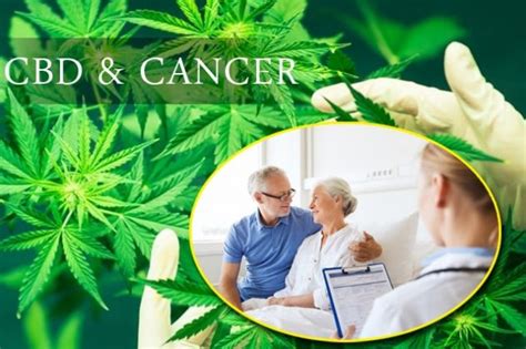 CBD And Cancer Treatment Benefits A Quick Look