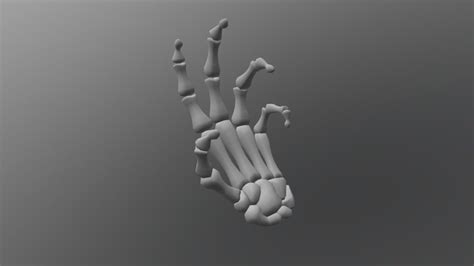 Skeleton Hand Download Free 3d Model By Zachchale Zachariahthe