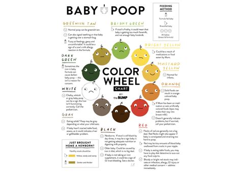 Poop Chart – The Smart Mum