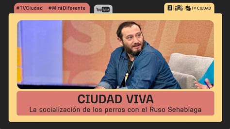 Ciudad Viva Hablamos de la socialización de los perros con el