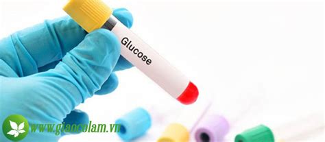 Định Lượng Glucose Trong Máu Chỉ Số Quyết định Bệnh Tiểu đường