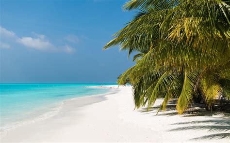 Meeru Island Resort Hotel Review, Maldives | Telegraph Travel