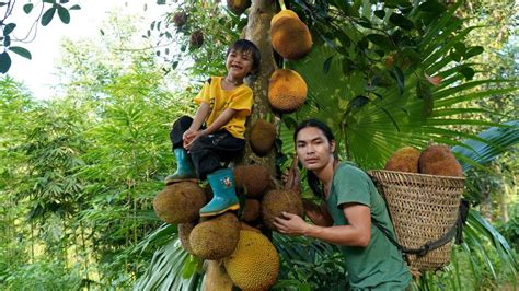 Harvest Jackfruit And Bring It To The Market To Sell With The Boy