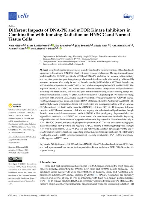 Pdf Different Impacts Of Dna Pk And Mtor Kinase Inhibitors In