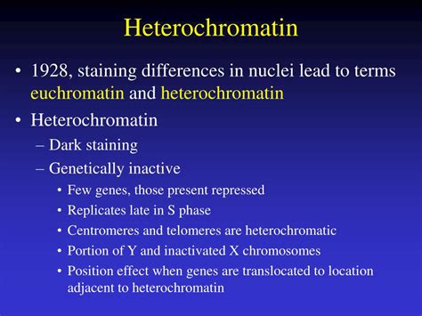 PPT - RNAi Overview Mechanism Role in heterochromatin formation ...