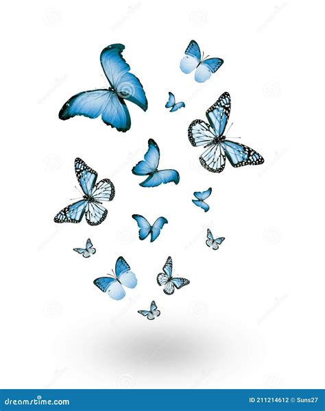 Flock Of Flying Butterflies Isolated Stock Photo Image Of Monarch