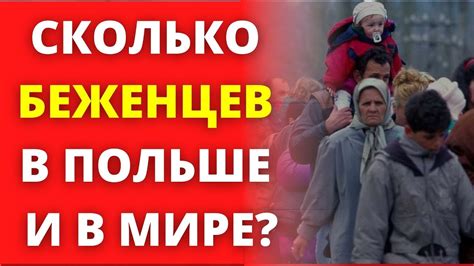 УКРАИНСКИЕ БЕЖЕНЦЫ. Сколько украинских беженцев в Польше и в других ...