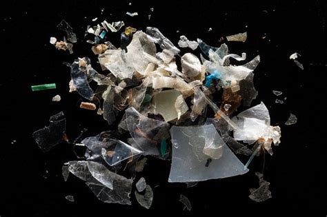 Microplastics Are Everywhere — But Are They Harmful