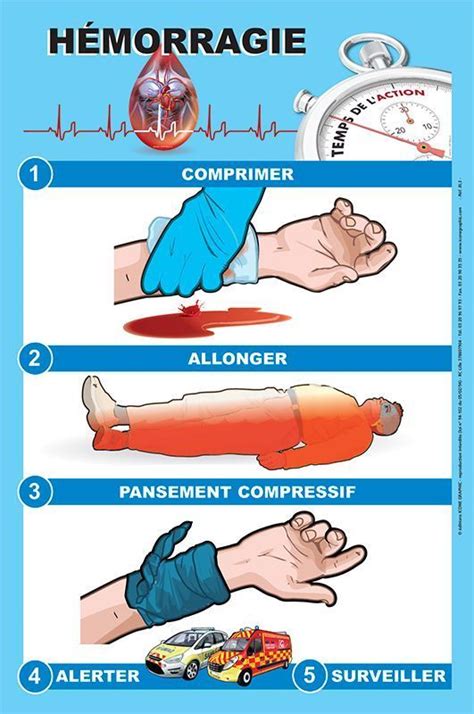 Educational Infographic Educational Infographic Editions