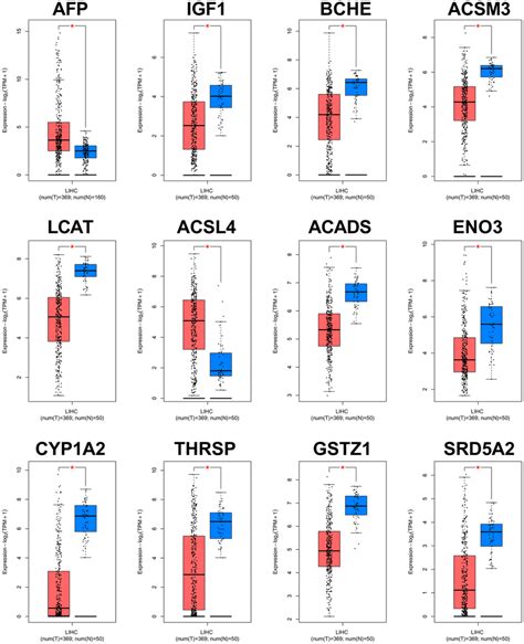 Validation Of Expression Levels Of The 12 Hub Genes In Hcc And Normal