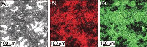 Sem Image Of The Sample Containing The Extracted Magnetosomes Deposited