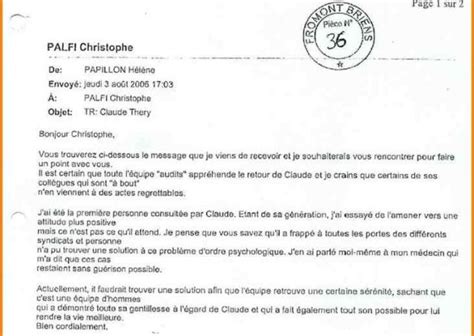 Exemple Curriculum Vitae Francais Laboite Cv Fr