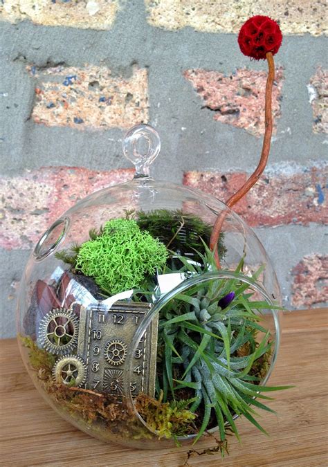 Steampunk Air Plant Terrarium A Perfect Birthday Or Fathers Etsy