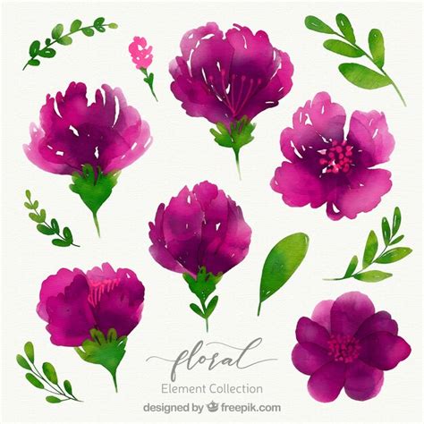 Free Vector Watercolor Floral Element Collection