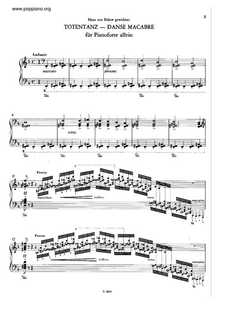 Franz Liszt Totentanz Solo Piano S Pdf