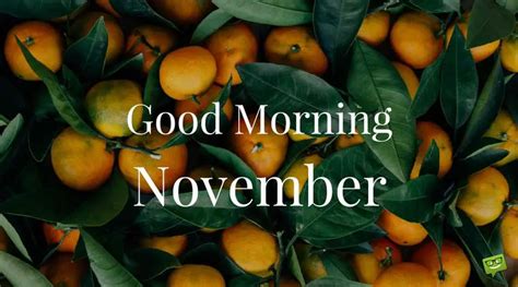 Good Morning + Hello, November!