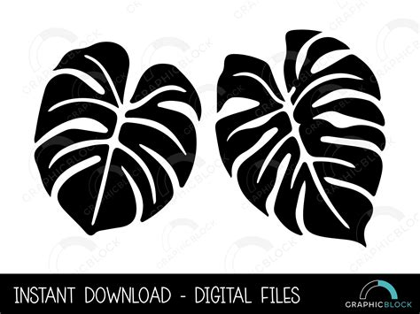 Monstera Leaf Set Svg 10 Bundle Silhouette Png Tropical Vector Plant Cricut Cut File Eps Dxf