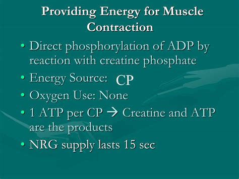 Ppt Energy For Muscle Contraction Powerpoint Presentation Free