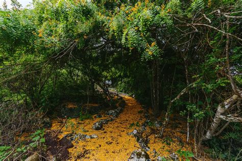 Floreana Island Tour Full Day Tour From Santa Cruz Island