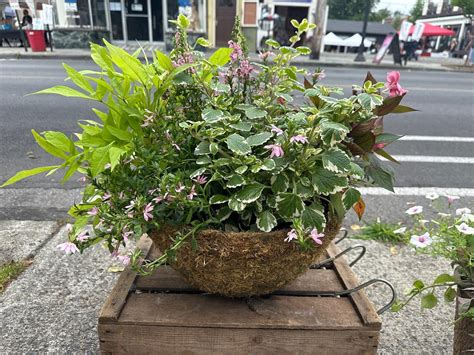 Country Life Gardens Thecountrylifegardens • Instagram Photos And Videos