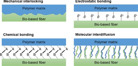 Schematic Representation Of Mechanical Interlocking Chemical