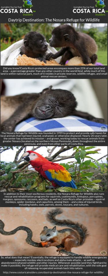 Daytrip Destination The Nosara Refuge For Wildlife Did You Know Costa