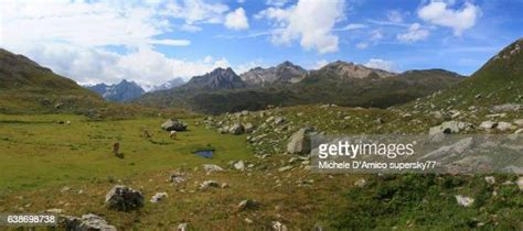 Piedmont Plateau Photos and Premium High Res Pictures - Getty Images