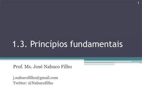 PPT 1 3 Princípios fundamentais PowerPoint Presentation free