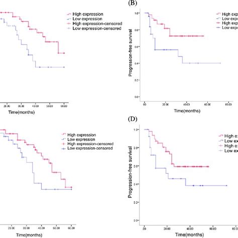 Multivariate Prognostic Analysis Of Patients With Osteosarcoma Download Scientific Diagram