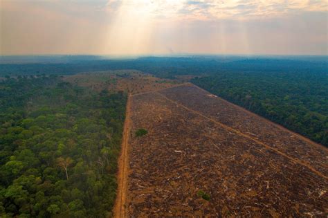 Brasile La Deforestazione In Amazzonia Peggiora E Minaccia Il Clima