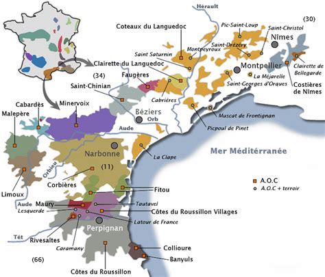 Le Vignoble Du Languedoc Roussillon