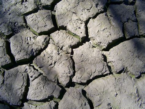 dry mud  photo  freeimages
